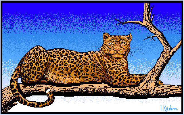 LaurelKashinn_Leopard